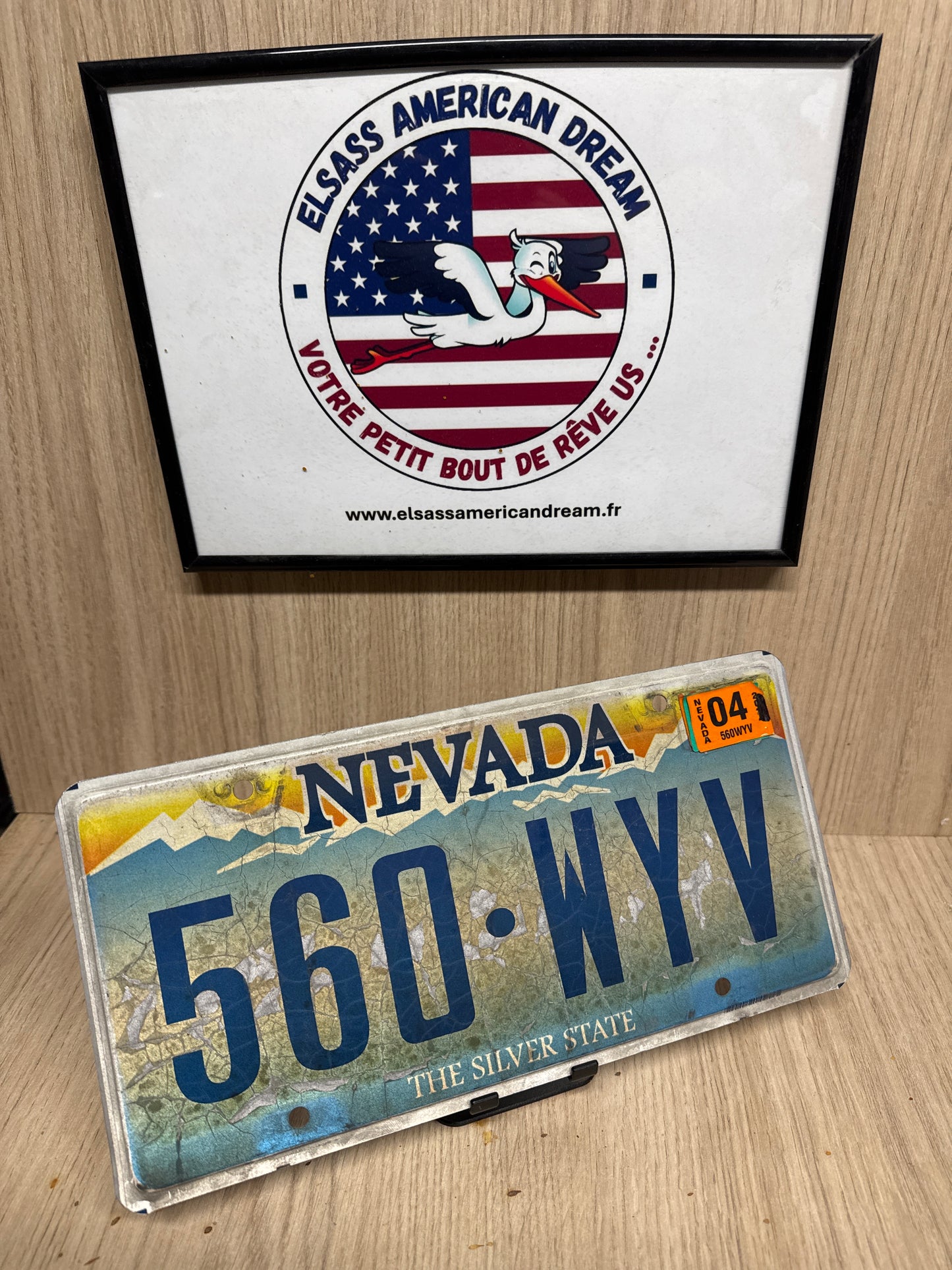 Plaques du Nevada 🏔️🌵 560-WYV