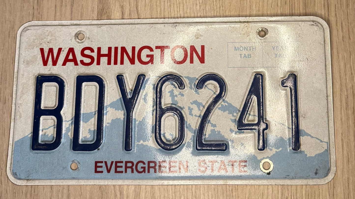 Washington BDY6241