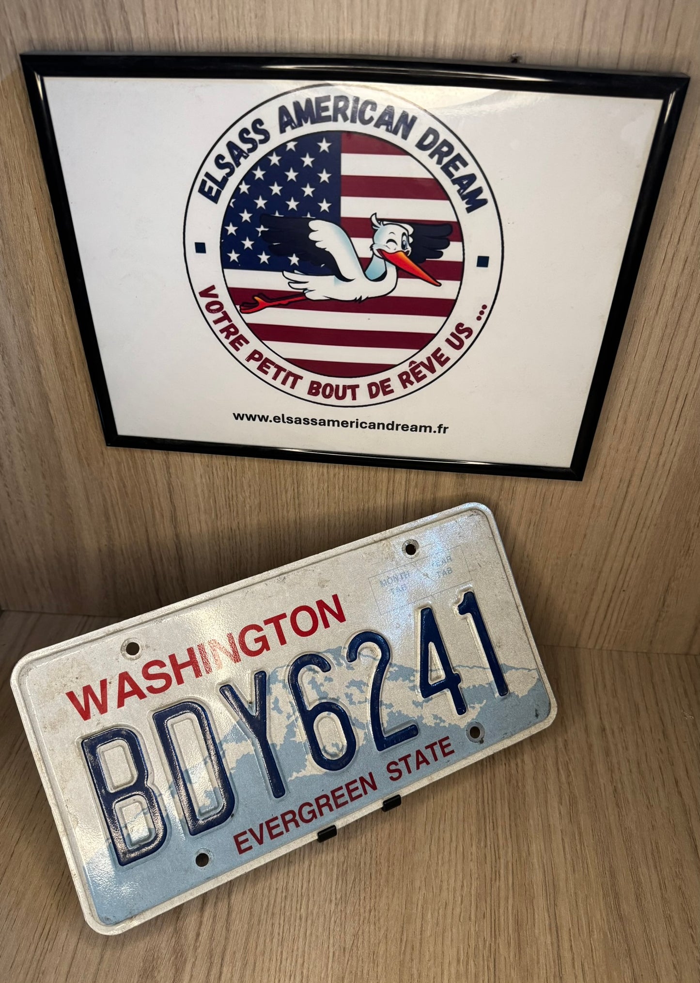 Washington BDY6241