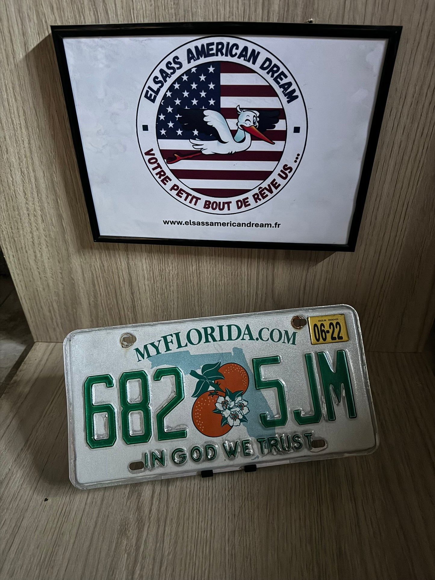 Plaque d’Immatriculation – Floride "IN GOD WE TRUST" (682 5JM)