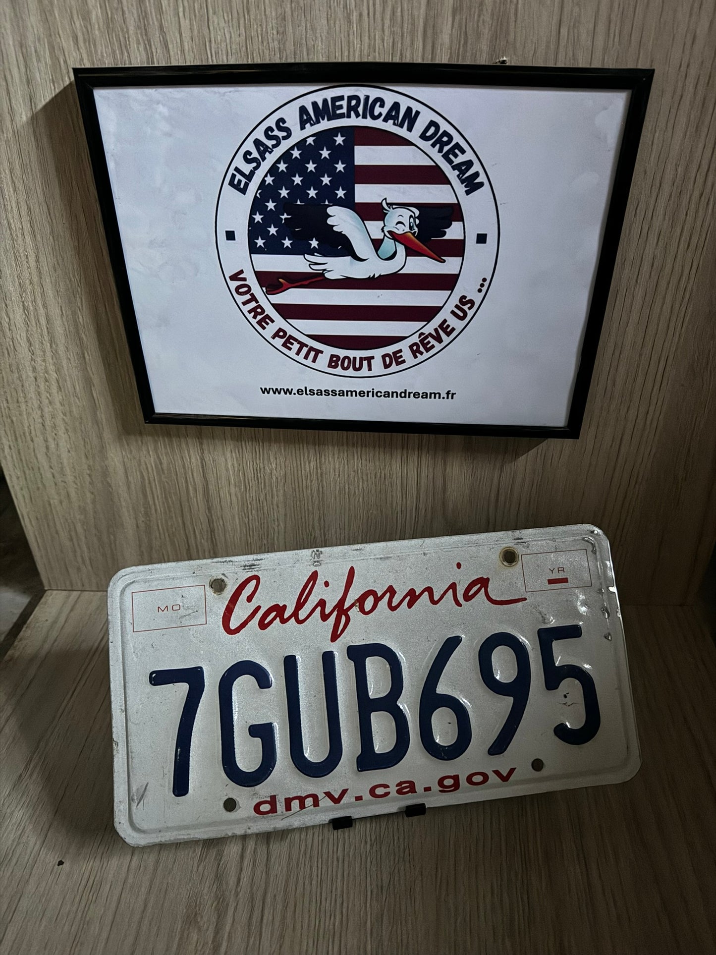 🚘 Plaque d’Immatriculation – Californie "7GUB695" – Série Standard