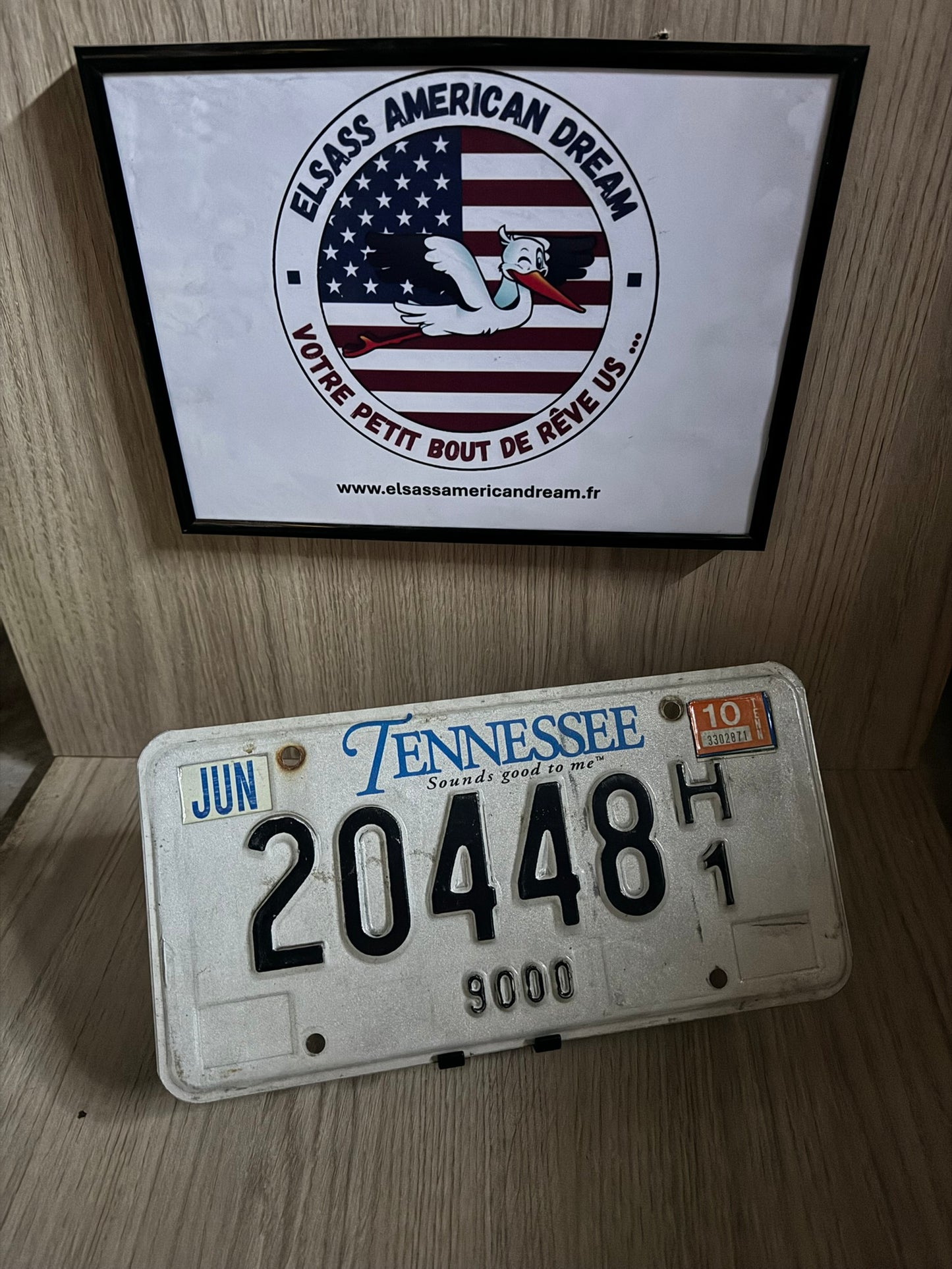 🎶 Plaque d’Immatriculation – Tennessee "SOUNDS GOOD TO ME" (20448 H1)
