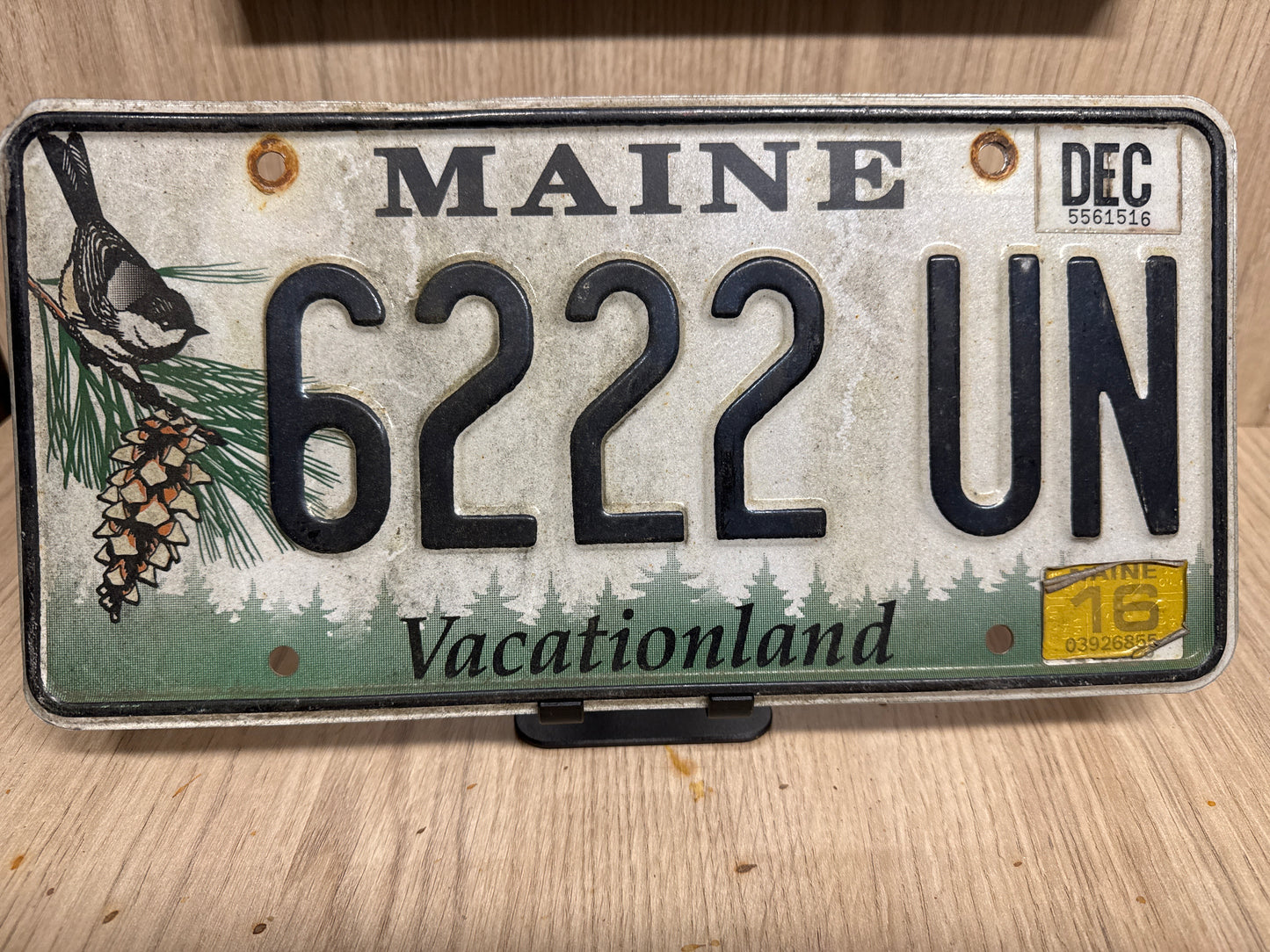 Plaque d’Immatriculation Vintage Maine – "Chickadee &amp; Pine" Edition 6222-UN