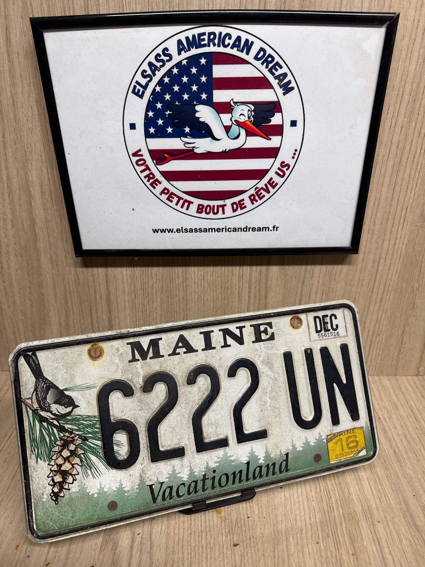 Plaque d’Immatriculation Vintage Maine – "Chickadee &amp; Pine" Edition 6222-UN