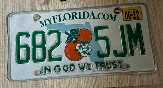 Plaque d’Immatriculation – Floride "IN GOD WE TRUST" (682 5JM)